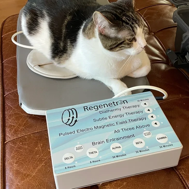 Regenetron PEMF and Brainwave Entrainment system